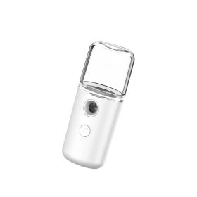 Mist Sprayer Mini 30ml Nano Portable Face Spray Facial Body Steamer Moisturizing Skin Care Humidifier Instruments - USB 4 30ml white