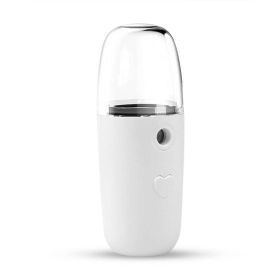 Mist Sprayer Mini 30ml Nano Portable Face Spray Facial Body Steamer Moisturizing Skin Care Humidifier Instruments - USB 5 30ml white