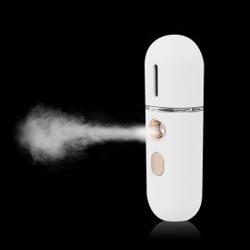 Mist Sprayer Mini 30ml Nano Portable Face Spray Facial Body Steamer Moisturizing Skin Care Humidifier Instruments - USB 3