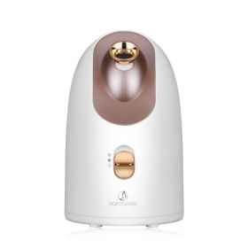 Hot and cold face steamer - US