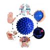 3Pcs Spiky Foot Roller Massage Ball Body Relax Pain Relief Back Leg Massager Set - Blue