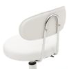 Round Shape Adjustable Salon Stool with Back and Line White Anti-rust Chair - White