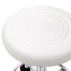 Round Shape Adjustable Salon Stool with Back and Line White Anti-rust Chair - White
