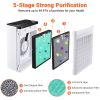 Home Air Purifier boasts its robust 5 layers of filters: Cold Catalyst Filter; Activated Carbon Filter; - As pic