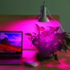 LED Grow Light 12W 200 Red Blue LEDs Plant Grow Lamp 360°Rotatable Plant Light - White