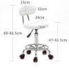 Round Shape Adjustable Salon Stool with Back and Line White Anti-rust Chair - White