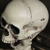 Halloween Skeleton - 170cm / 5.6ft (LED)