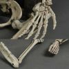Halloween Skeleton - 170cm / 5.6ft (LED)