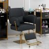 Elegant Barber Chair,Salon Chair for Hair Stylis,with Heavy Duty Hydraulic Pump Adjustable Barber Chair for Beauty Salon Spa Equipment,Black - as Pic