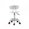 Round Shape Adjustable Salon Stool with Back and Line White Anti-rust Chair - White
