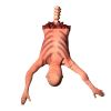 Halloween Plastic Skeleton - yellow