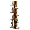Open Concept Plant Display Shelf Rack Storage Holder - golden