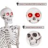 Halloween Skeleton - 170cm / 5.6ft (LED)