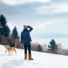 Women Ladies Snow Boots Waterproof Faux Suede Mid-Calf Boots Fur Warm Lining Shoes - Chestnut - 7